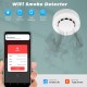 WiFi Smart Smoke Alarms Detector