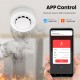WiFi Smart Smoke Alarms Detector