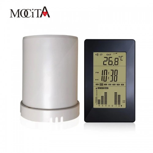 Weather Station RS8751W3