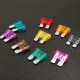 50PCS Car Truck Fuse Middle Size