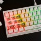 Marvo Gaming Mechanical keyboard 61 keys TKL Hecate 61R WH - RED switches, RGB