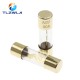 10*38MM Gold Plated Glass AGU Fuse