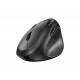 Genius Vertical Mouse wireless Ergo 8350S Genius Vertical Mouse wireless Ergo 8350S