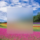 200x200mm Size Cast Frosted Plexiglass Acrylic Board