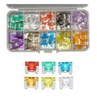 100 Pcs Mini Car Fuses